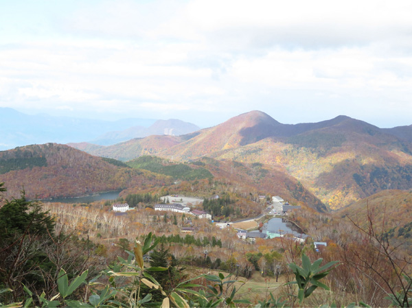 photo　琵琶池、蓮池　木場の広場から