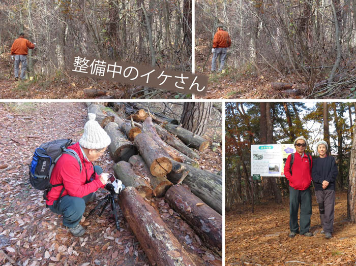 photo2もう一年も経った