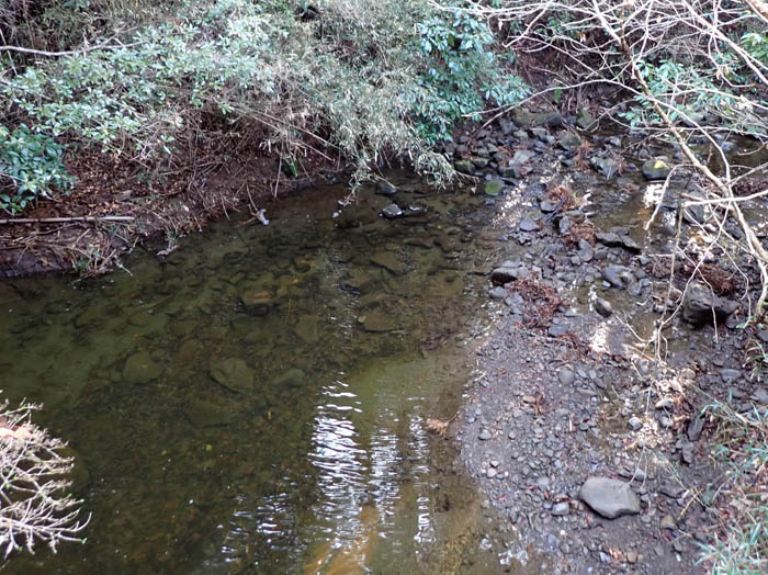 photo7森戸川