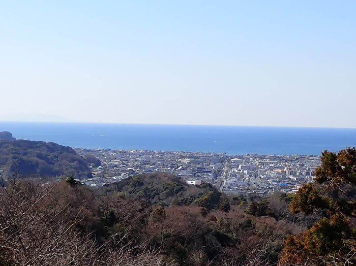 photo10まっすぐ伸びる若宮大路