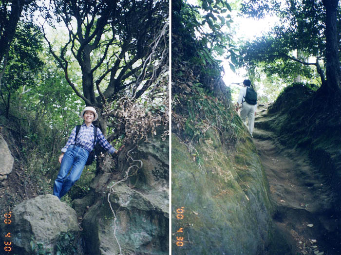 photo11覚園寺から大平山に登る