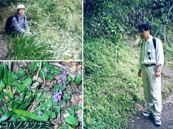 photo12花が咲き出す季節