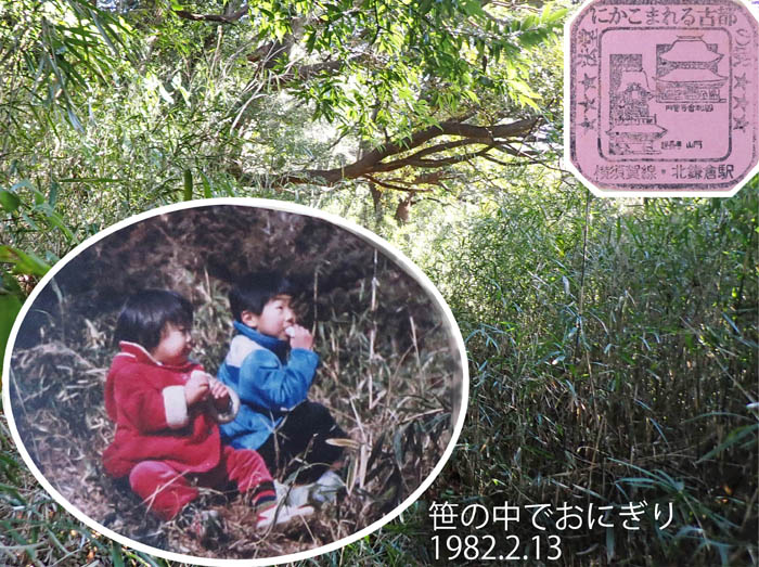 photo3深い笹の中の道