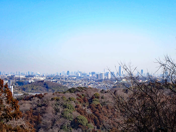 photo7六国見山から横浜東京方面の展望