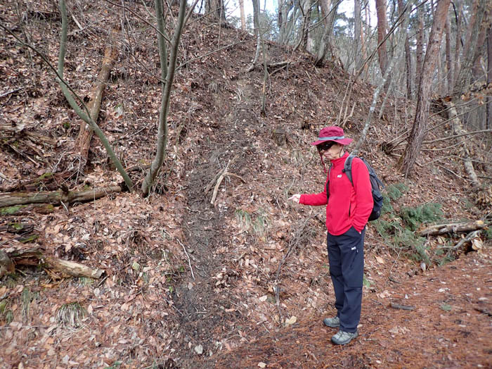 photo5斜面に残る獣道跡か：地附山 