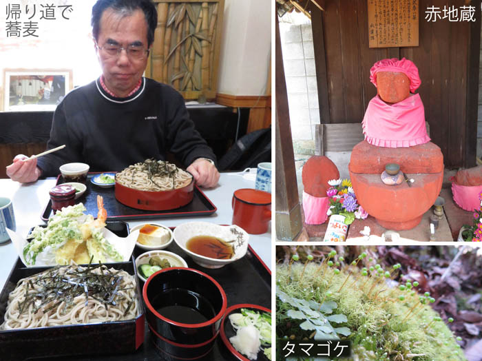 photo7お蕎麦屋さん,赤地蔵 