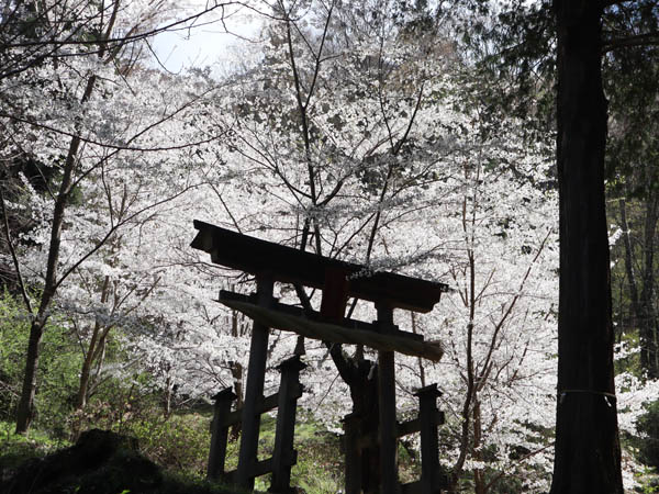 鳥居と