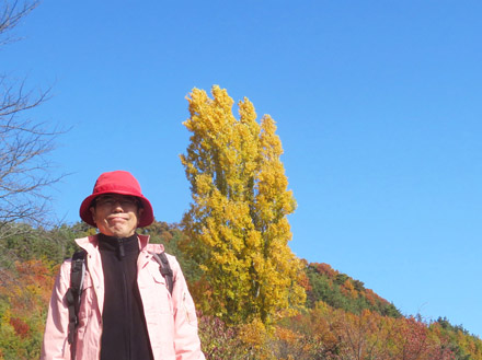 photo　ポプラ：地附山