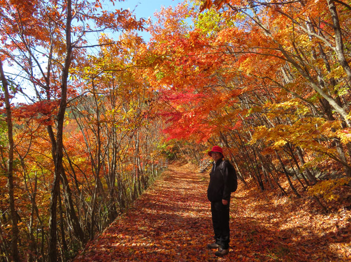 photo・輝く紅葉・地附山