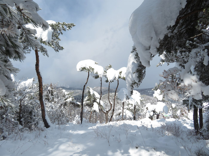 photo　灰色の空（山頂で）
