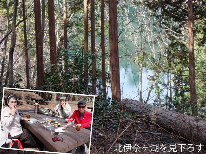 photo12県民の森でランチ 