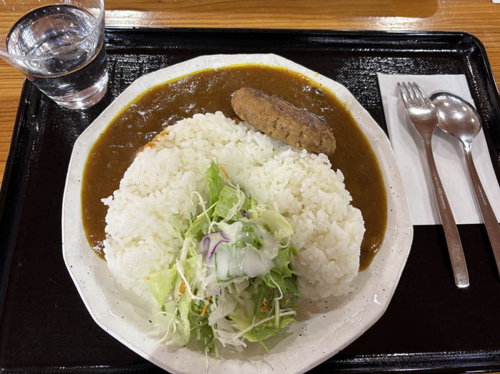 ダムカレー