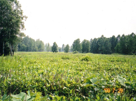 photo 広い大地