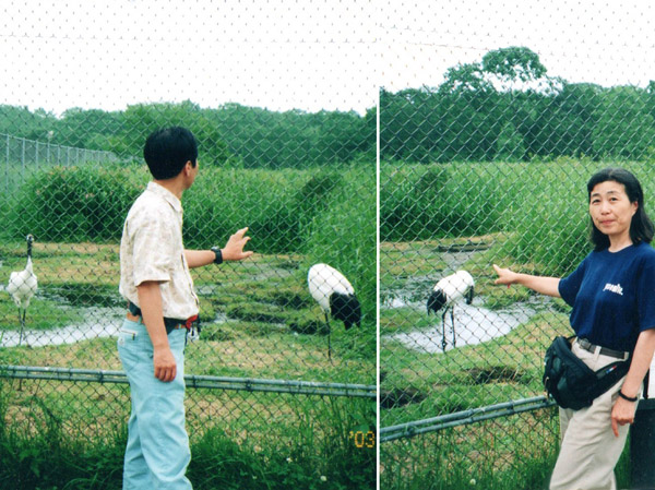 photo 丹頂鶴自然公園