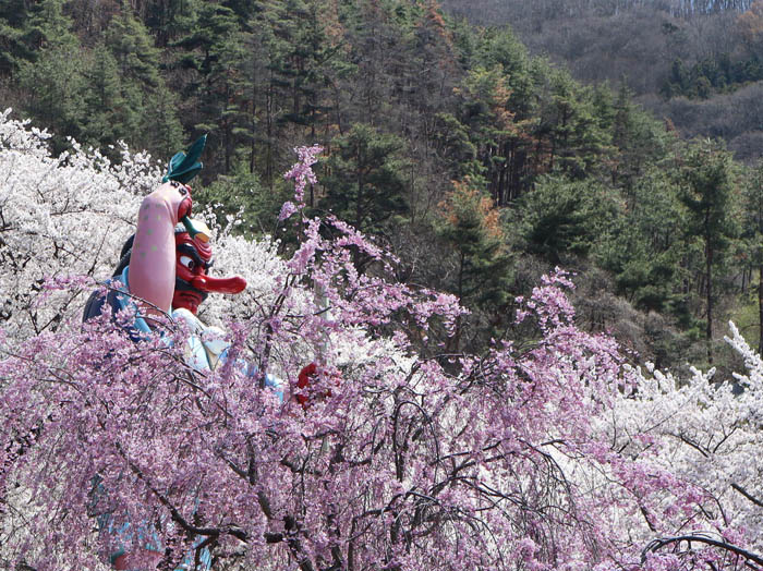 photo4桜に埋もれる天狗さん