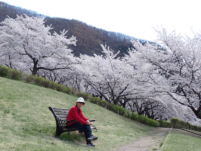 photo9ところどころにベンチ
