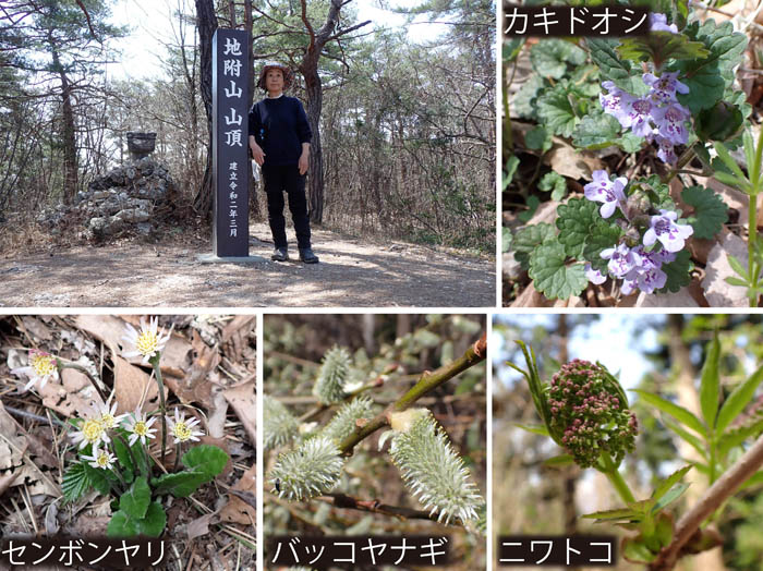 photo草も木も花咲く