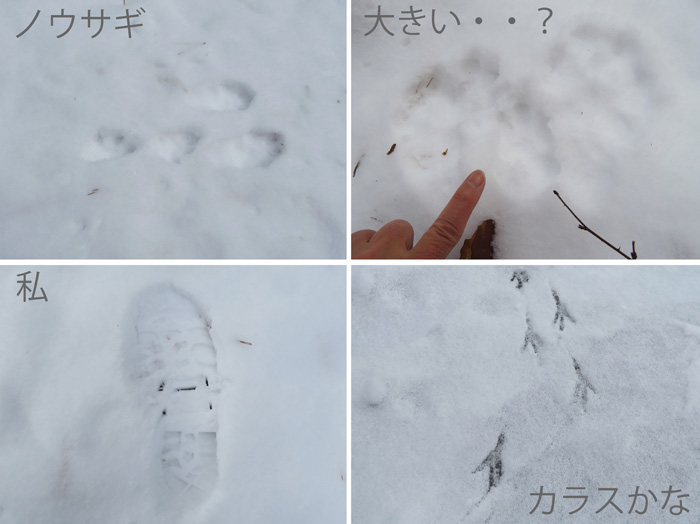 photo　足跡