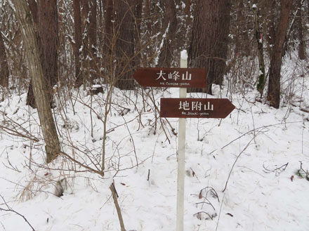 photo　分岐点