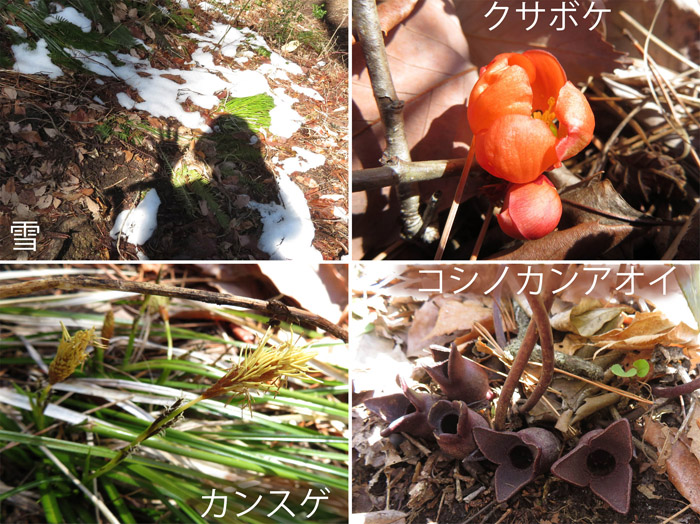 photo　登山道