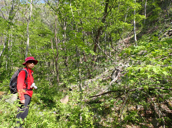photo1郷路山の崖下
