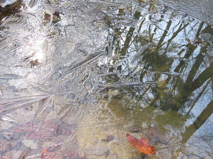 photo 水溜りに張った氷