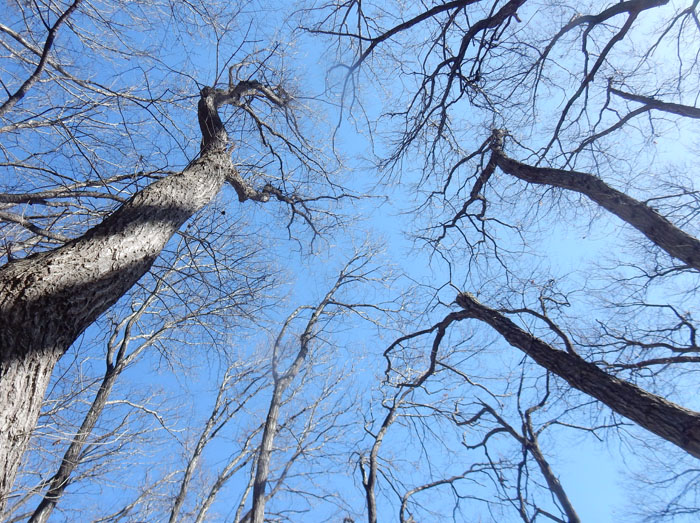 photo 冬の空