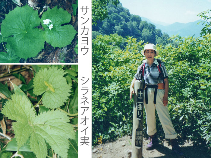 photo 十二曲り