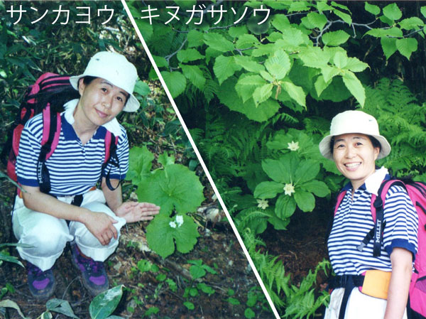 photo 大好きな花と