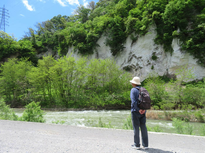 photo2白い崖が木立で隠れてきた