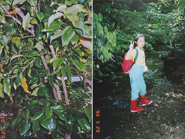 photo 蛇の抜け殻（左）大きい1990.5.20