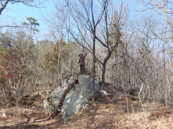photo 歌ヶ丘からの登山道で