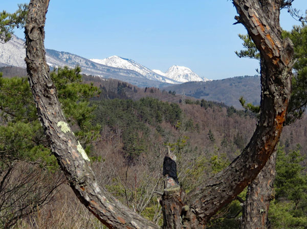 photo 木の窓の向こうに黒姫山、妙高山