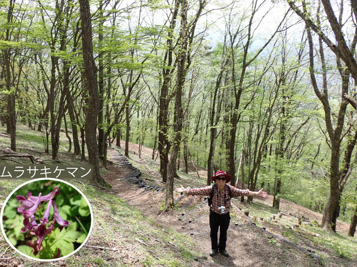 photo19頂上まであと少し