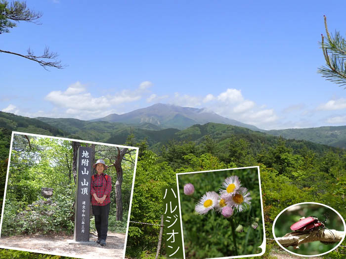 photo4地附山は春らんまん