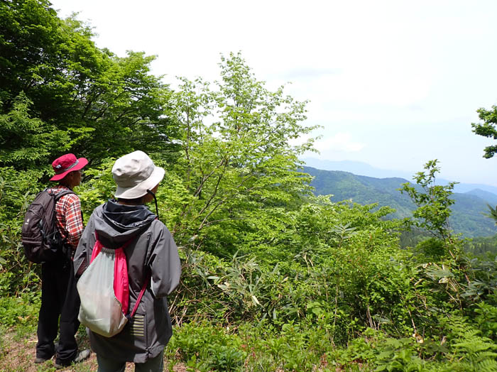 photo13霞んでいるけれど