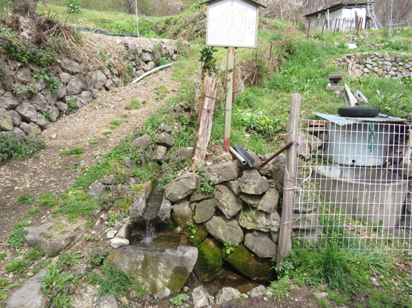 photo・瓜割清水