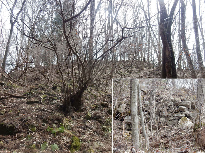 photo 平らな山頂と石垣（右下）