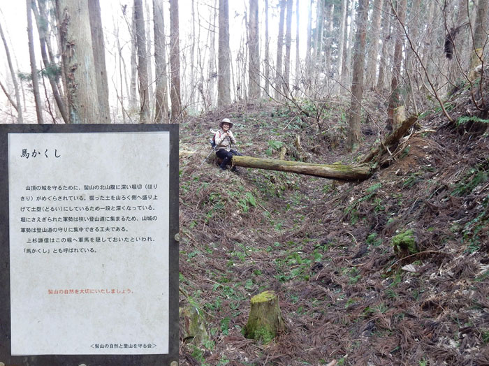 photo 『馬かくし』で