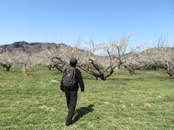 photo 梅園の中心部