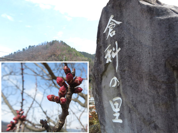 photo 倉科の里から鷲尾山（角内は杏）