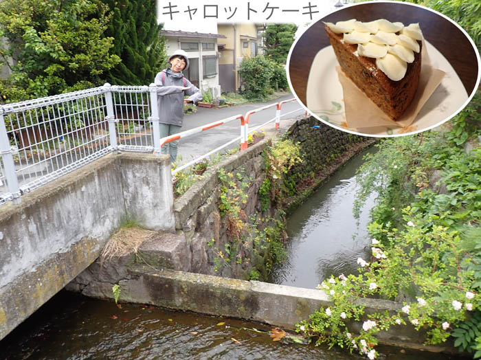 photo1キャロットケーキ 