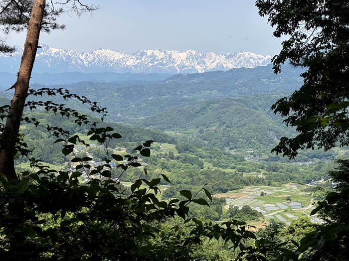 photo8北アルプスと山間の田んぼ