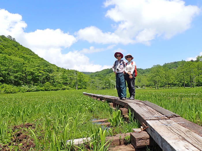 photo21沼の原湿原