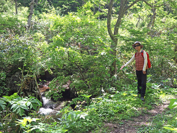 photo4気持ち良い沢沿いの道