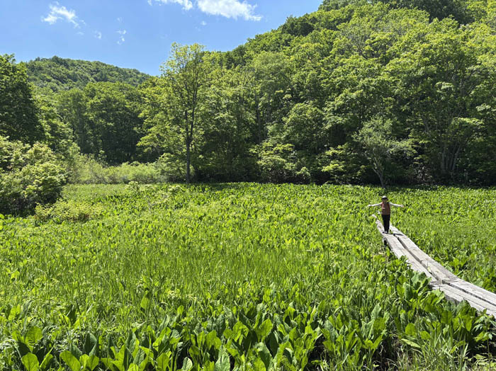 photo7森の奥に広がる湿原