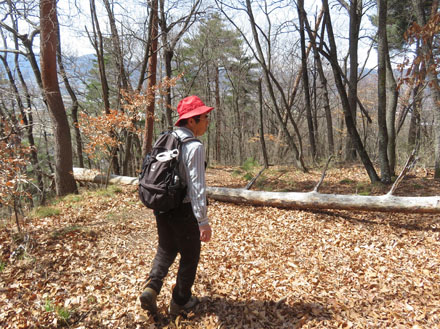 photo 薬師山への稜線
