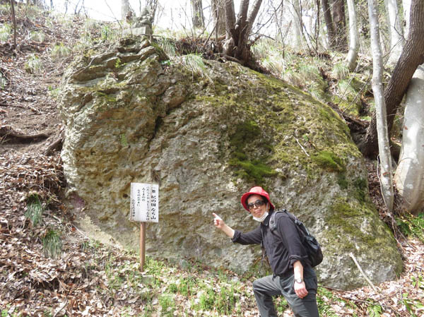photo 岩,一番紀の国なち山