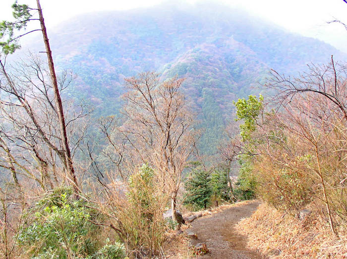 photo：となりの山も霞んでいる：幕山