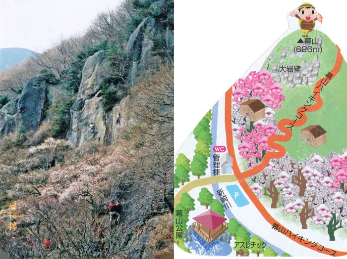 photo：岸壁を登る人たち：幕山